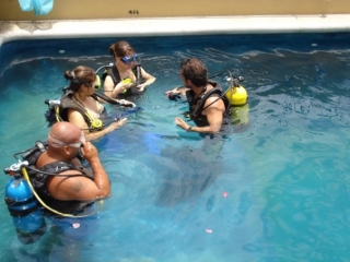 Programa de buceo